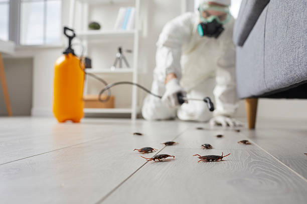 Commercial Kitchen Cockroach Control in Black Earth